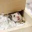 みなみのプロフィール画像