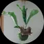 丸二郎のプロフィール画像