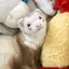 みさのプロフィール画像