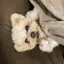 はづきのプロフィール画像