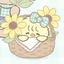 S2のプロフィール画像