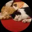 よしみんのプロフィール画像