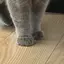 ゆこのプロフィール画像