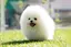 みなのプロフィール画像
