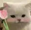 かおるのプロフィール画像