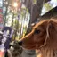 あゆのプロフィール画像