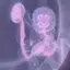 蝶々ちゃんのプロフィール画像