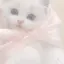 kanaのプロフィール画像