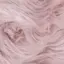 みーのプロフィール画像