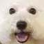 🤍のプロフィール画像