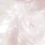 rのプロフィール画像