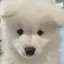 なっちゃんのプロフィール画像