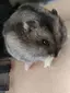 にこのプロフィール画像