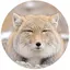 りーのプロフィール画像