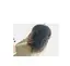 SHIoのプロフィール画像