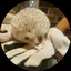 えんどーのプロフィール画像