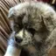 さきのプロフィール画像