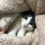 みくのプロフィール画像