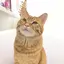 ゆきのプロフィール画像