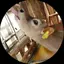 SUZUのプロフィール画像