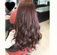 ねぇたむのプロフィール画像