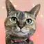 真由美のプロフィール画像