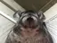 ななこのプロフィール画像