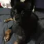 RqmiLのプロフィール画像