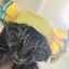 ゆうこのプロフィール画像