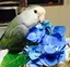 美羽のプロフィール画像
