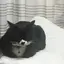 nnnのプロフィール画像