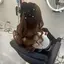 ひかりのプロフィール画像