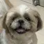 そらのプロフィール画像