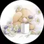 H a r u k aのプロフィール画像