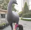 ハヤシのプロフィール画像