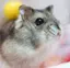 nori.のプロフィール画像