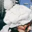 chiakiのプロフィール画像