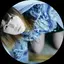 ずきちのプロフィール画像