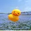 natsuのプロフィール画像