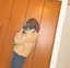 なななのプロフィール画像