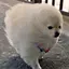 うみのプロフィール画像