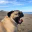 ゆなのプロフィール画像