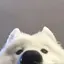 史のプロフィール画像