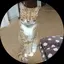 えりかのプロフィール画像