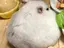 のりかのプロフィール画像