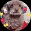 みほのプロフィール画像