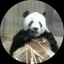 まりこのプロフィール画像