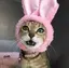 みゆきのプロフィール画像