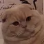 ゆきのプロフィール画像