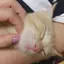 ありさ0808のプロフィール画像